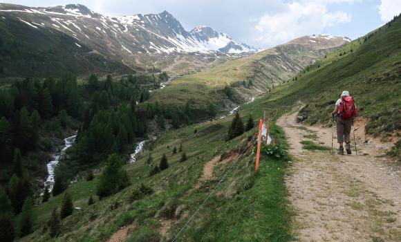 Alpenweg Davos