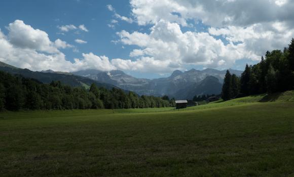 Alpine Bike