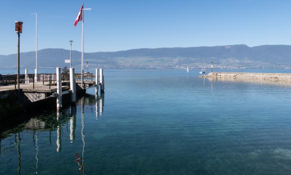 Chemin des grèves du Lac de Neuchâtel