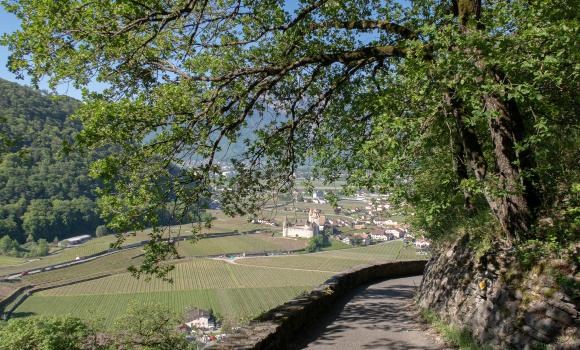 Tour des Alpes Vaudoises, Stage 1/8