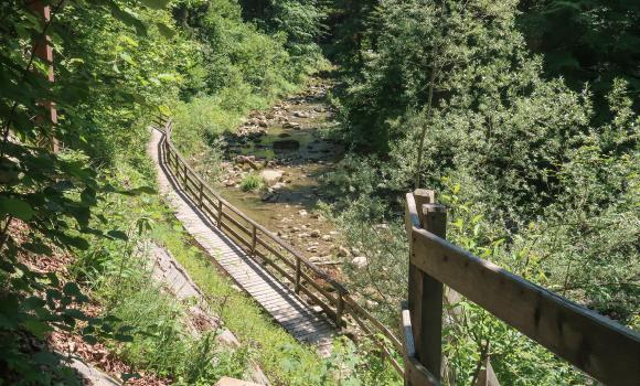 Alpine Panorama Trail