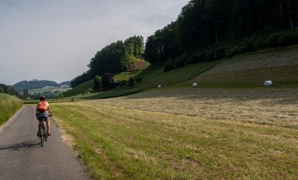 Grünes Band Bern