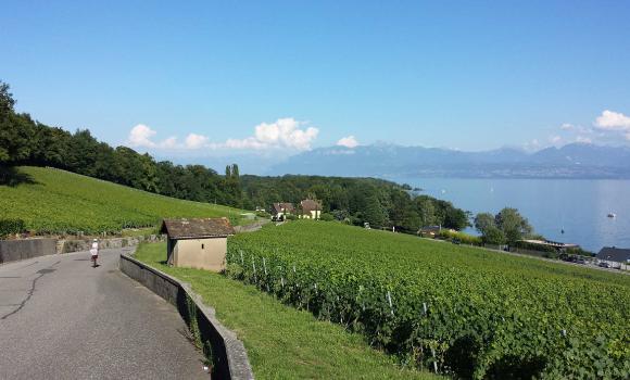 Tour du Léman