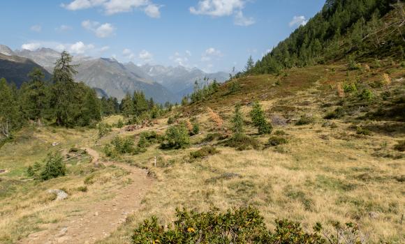 Alpine Passes Trail, Stage 13/43