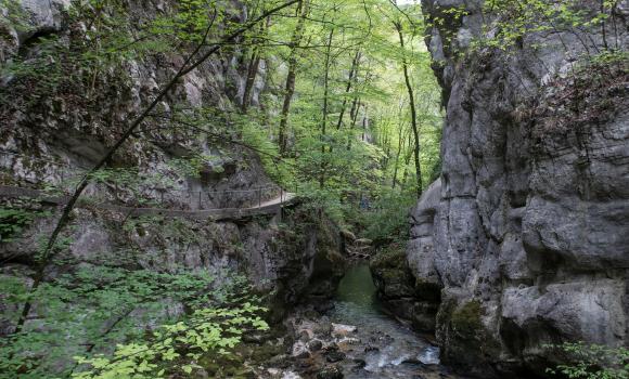 ViaJura, Stage 7/7