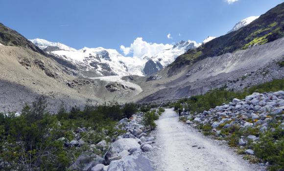 The Morteratsch Glacier path, on the trail of Sabi