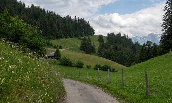 Alpes de la Région du Léman Bike