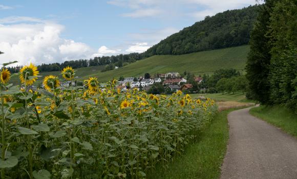 Rigi–Reuss–Klettgau