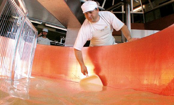 Les Martel cheese-making dairy