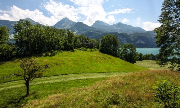 The cave divers of Lake Walen