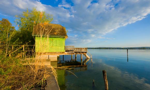 Lake Constance Fish Dishes