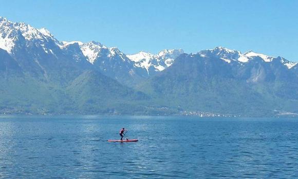 Gaze over the Lavaux on a paddleboard