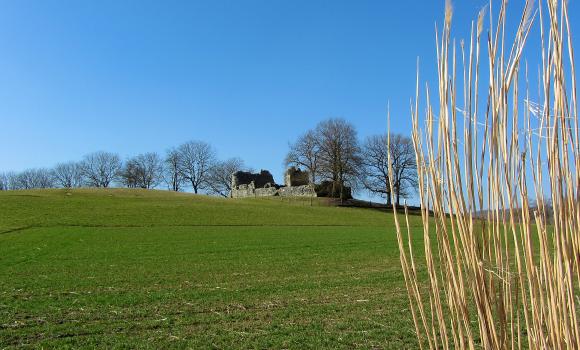 Nussbaumen–Kartause Ittingen Weg