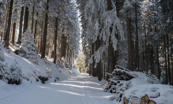 Oberdorf-Gamperfin-Weg