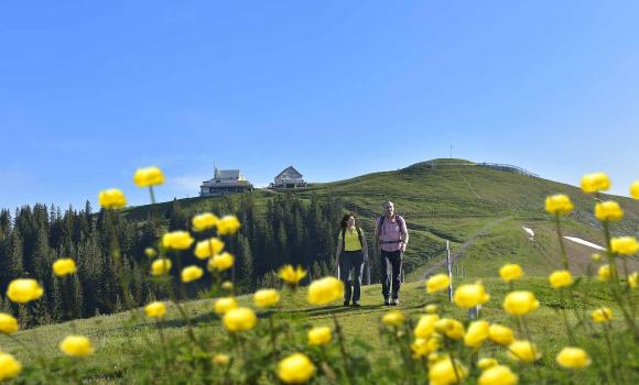 Kronberg – Mountain and valley in Appenzellerland