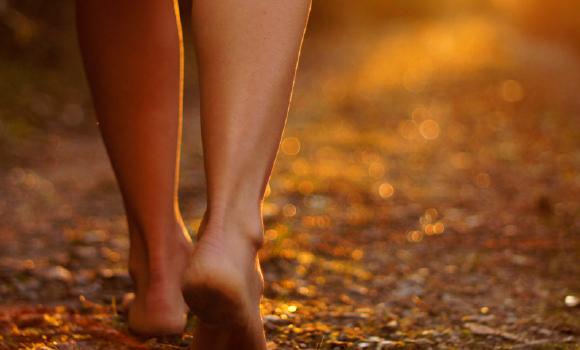 Pleasant sensations on the Barefoot Trail