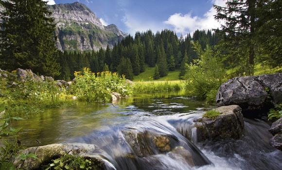 Appenzeller Alpenweg