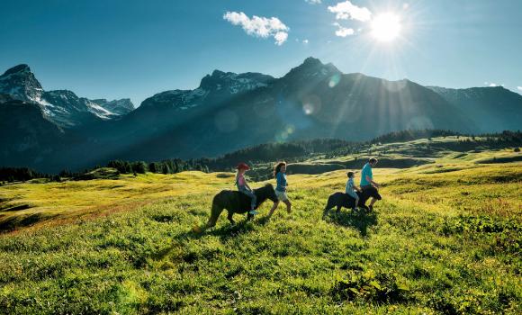 A horseback excursion into the Alp Flix