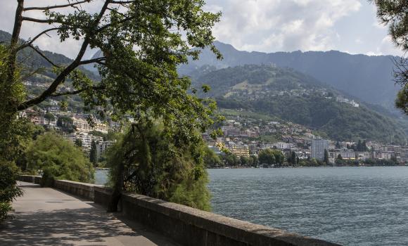 ViaFrancigena, Stage 5/10