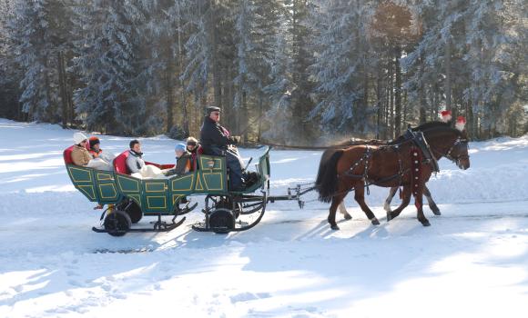 Horse and carriage rides in Raten