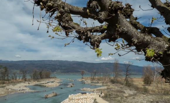 Seeland-Solothurn-Weg