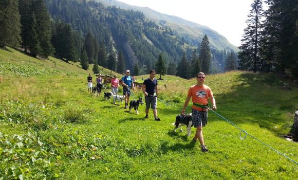 Huskystuff dogsled day tours