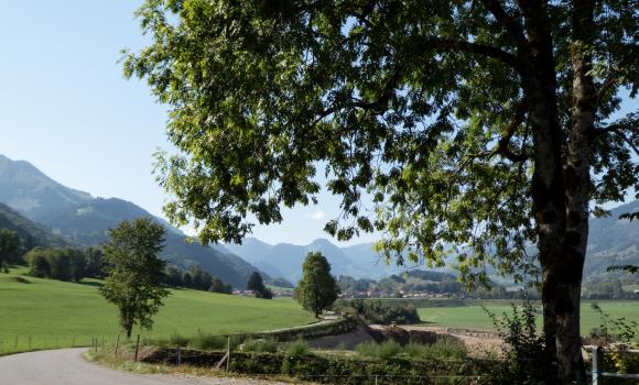 Alpine Panorama Route, Stage 8/9