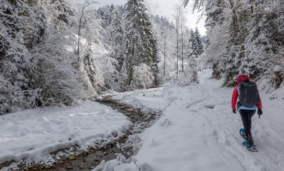 Schneeschuhtrail Hinter Ey–Luthern Bad