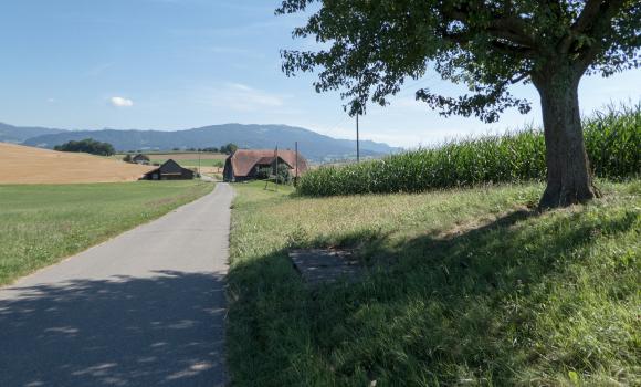 Saanenland–Freiburgerland, Stage 3/4