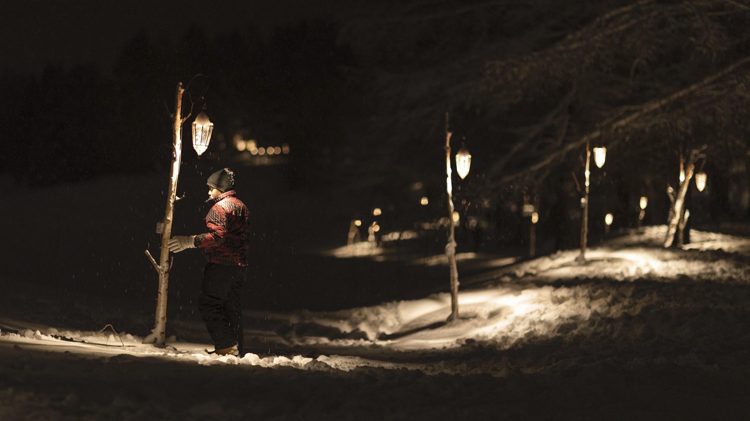 Immagine 1