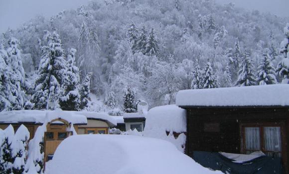 Immagine 2