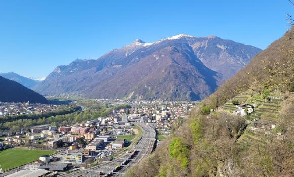 Immagine 6