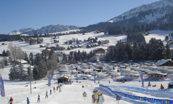Immagine 3