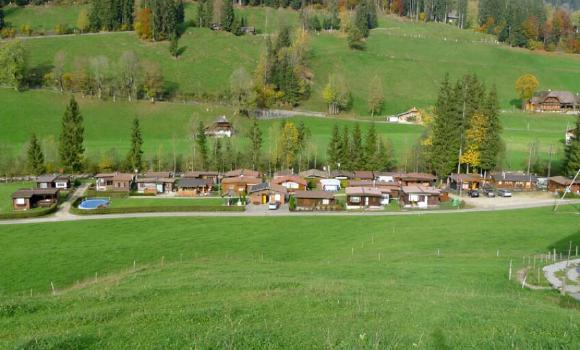 Immagine 2