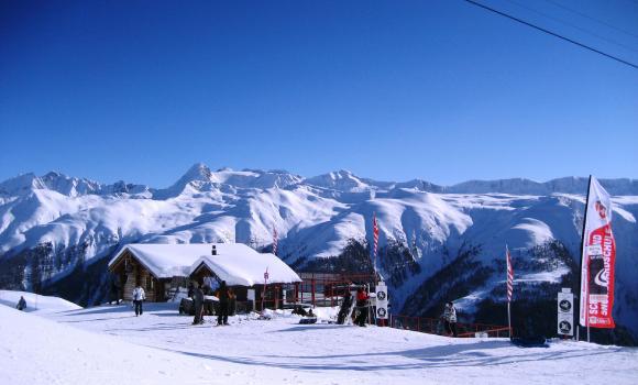 Immagine 4