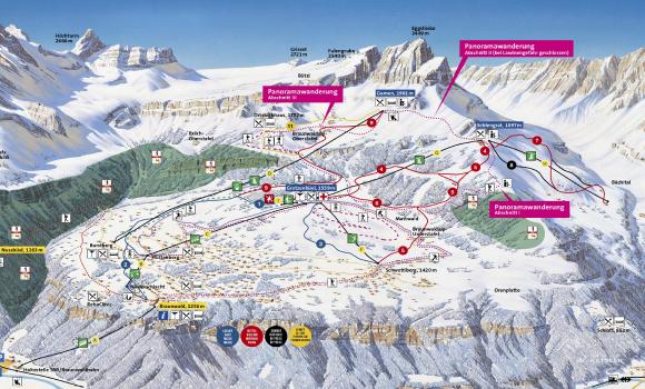 Braunwald