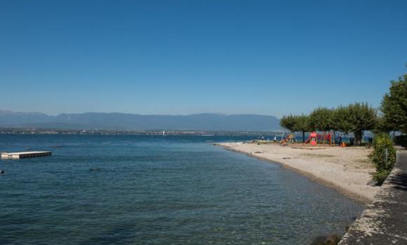 Immagine 4