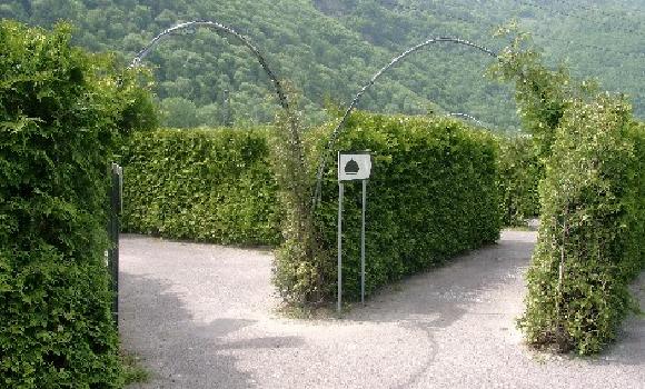 Immagine 2