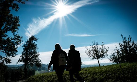 Immagine 4