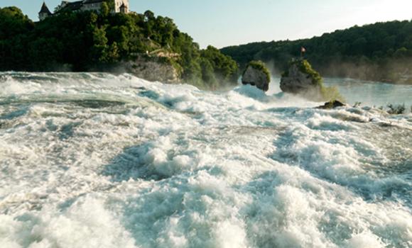 Immagine 2