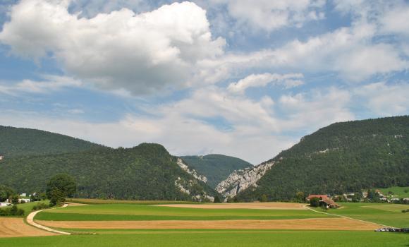Immagine 2