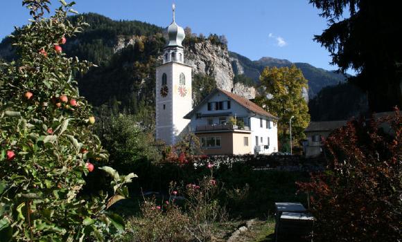 Immagine 2