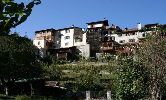 Immagine 3