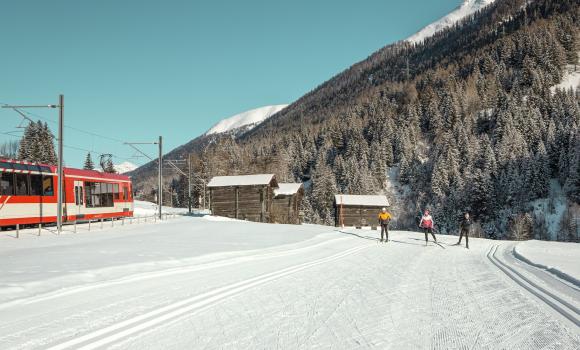 Immagine 3