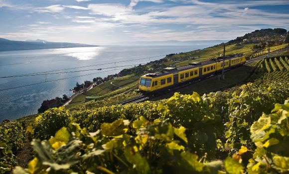 In treno attraverso i vitigni