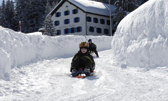 Divertimento in slitta in Liechtenstein