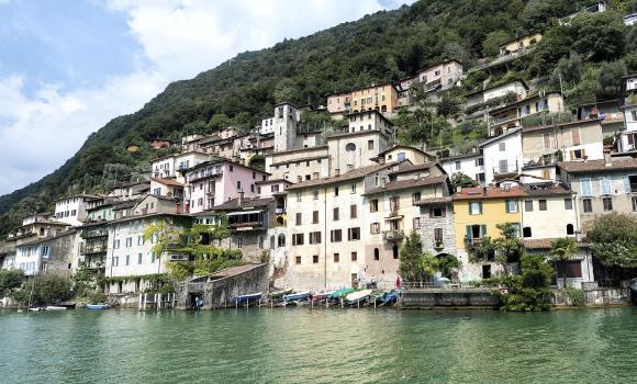 Immagine 2