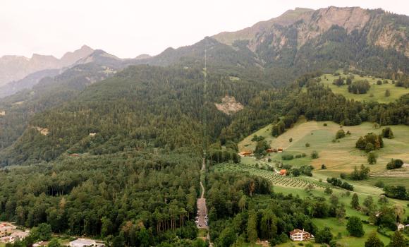 Immagine 3