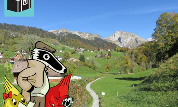 Immagine 2