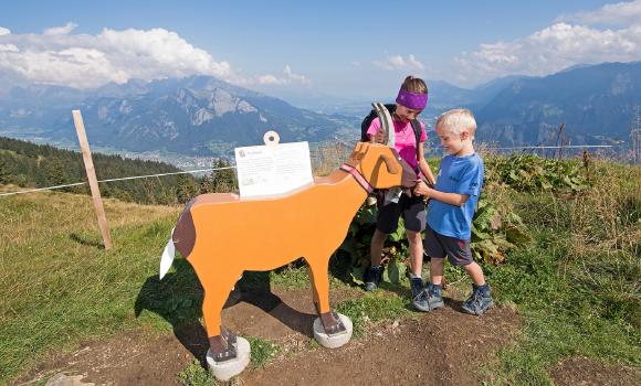 Sentiero di Heidi - Alp Schwarzbüel